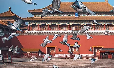 Forbidden City