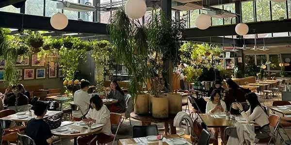 Shanghai reataurant