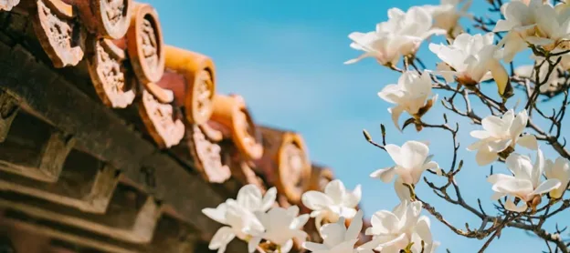 Best time to vist Beijing