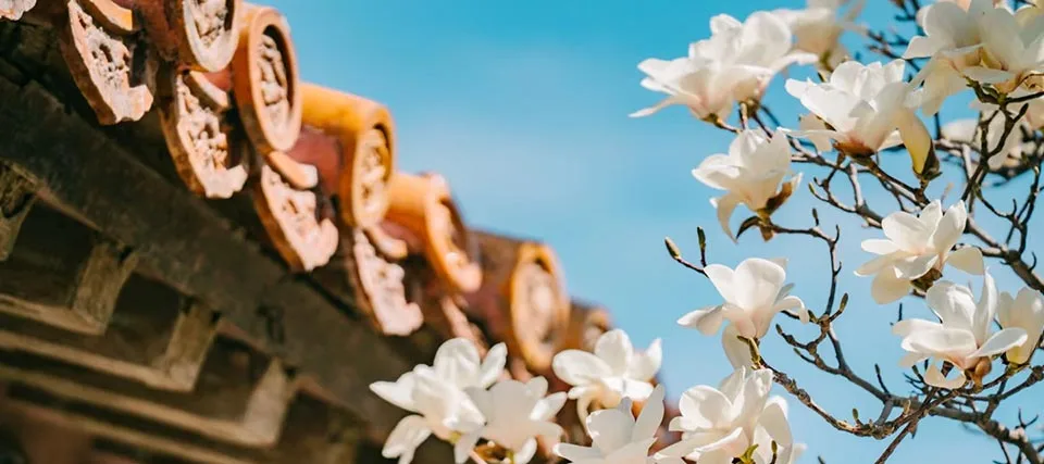 Best time to visit Beijing