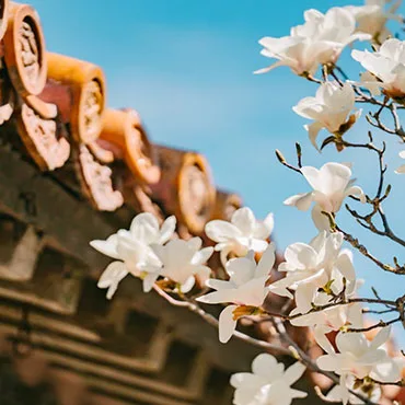 Best time to visit Beijing