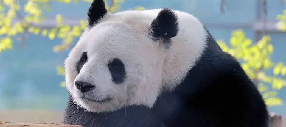 Is Beijing worth visiting