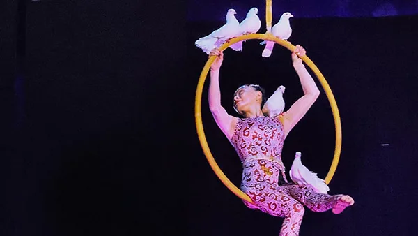 Acrobatic shows China