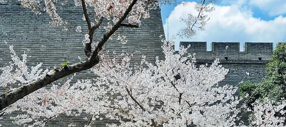 Is Xi’an worth visiting