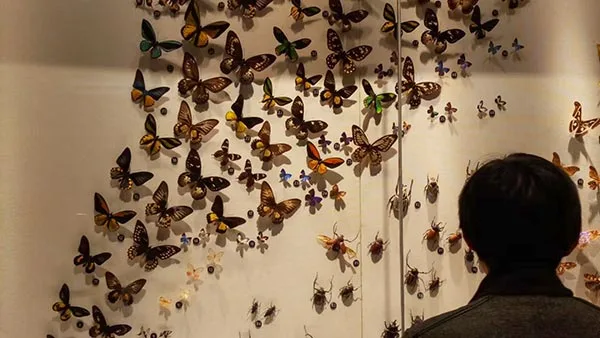 Family friendly museums China