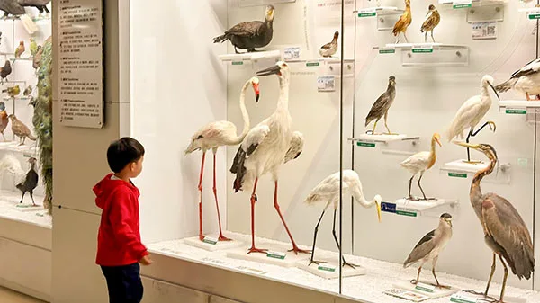 Beijing Zoo is it worth visiting