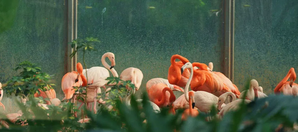 Beijing Zoo is it worth visiting