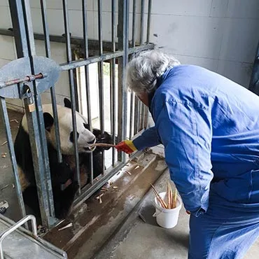 10 Days Best of China and Pandas